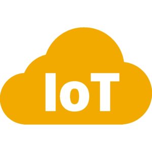 IoT